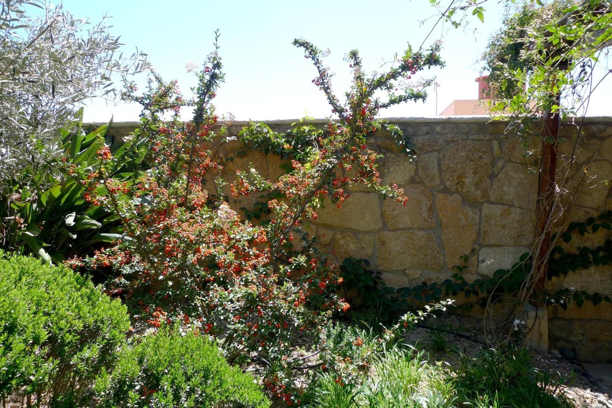 Hotel Rural San Miguel - Only Adults San Miguel de Abona Luaran gambar
